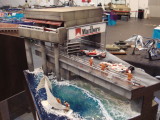 img0021.jpg